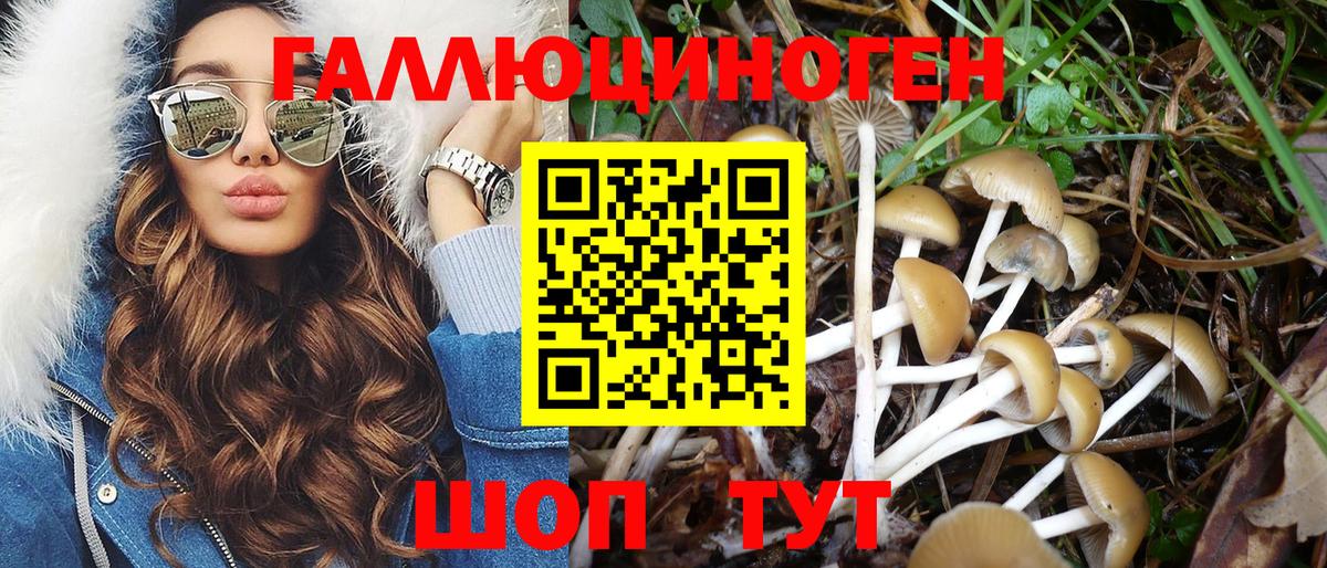 Саки  Галлюциногенные грибы GOLDEN TEACHER  цена наркотик  Вход с VPN  Псилоцибиновые грибы Psilocybine cubensis 